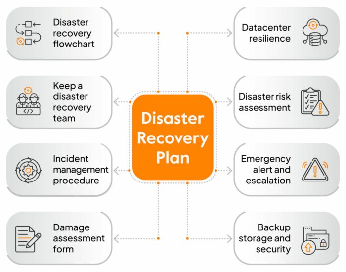 Recovery disaster drp infrastructure organizational case